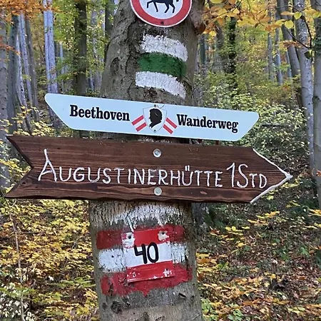 Daire Stilvolles Studio- Mit Einzigartiger Aussicht Baden